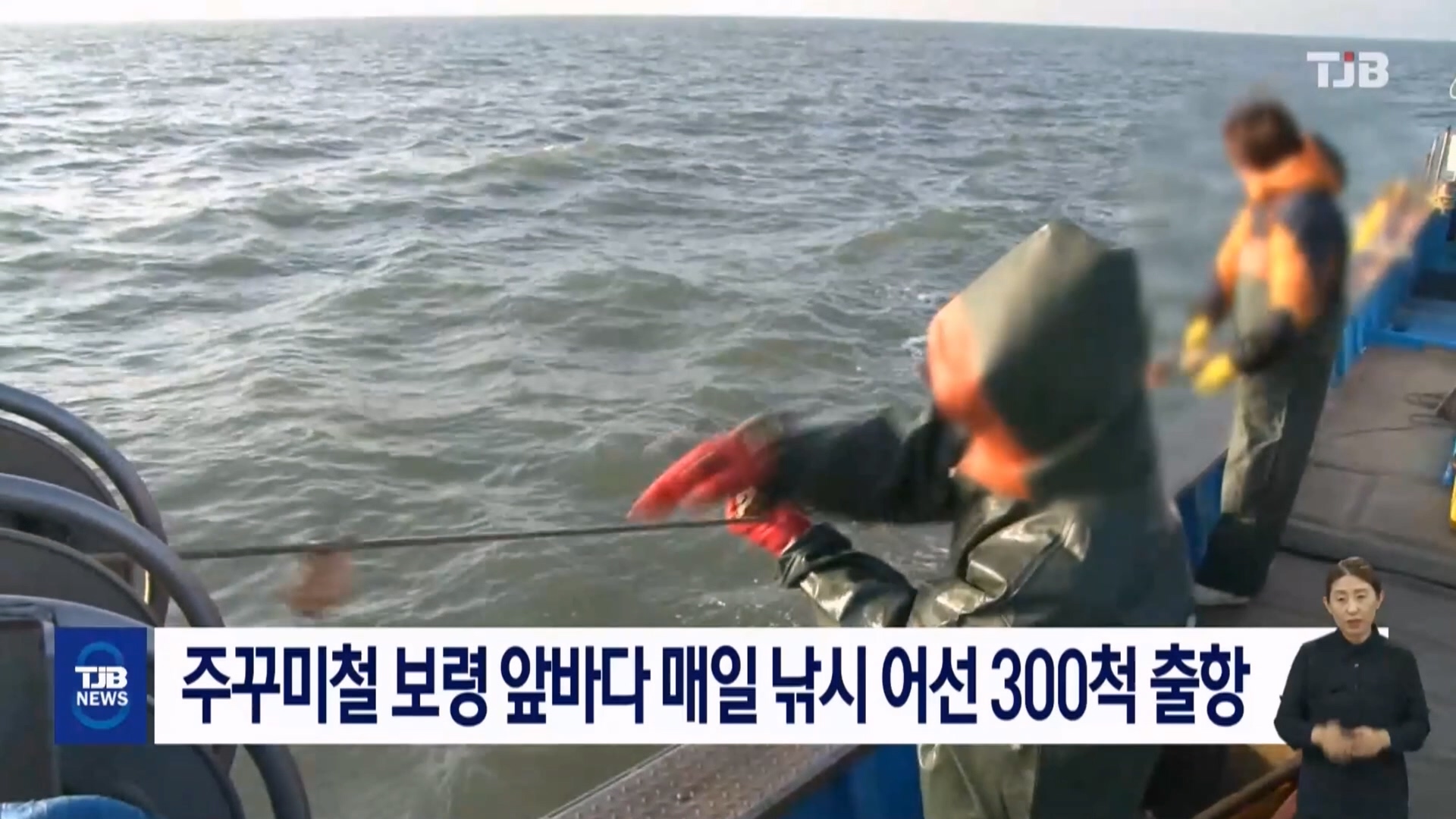 [0914 TJB 8시 뉴스데스크]주꾸미철 보령 앞바다 매일 낚시 어선 300척 출항